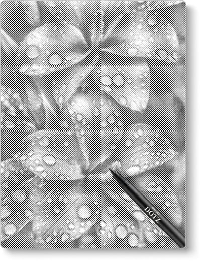 Bloem met waterdruppels | Dot painting | 30x40cm | Dot painting | Oh My Dotz | Dots stippen | Diamond painting & Schilderen op nummer alternatief | Happy hobby