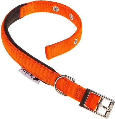 Ferplast Hondenhalsband Daytona 43 X 2 Cm Staal/nylon Oranje