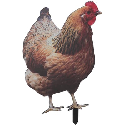 Hen Stake 3D Simulatie Acryl Stabiel Speculair Hen Decoratieve Grondpen voor Tuin Gazon Erf