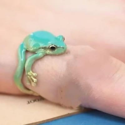 Personnalité Européenne et Américaine Unique Mignon Vert Grenouille Drôle Conception de Niche Exagérée Anneau d'Ouverture pour Étudiants Hommes et Femmes bleu
