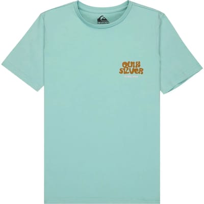 Quiksilver Fruits Tide T-shirt Met Korte Mouwen Groen,Blauw 14 Years Jongen