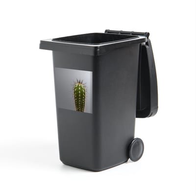 Container sticker Cactus - Cactus botanische print - 40x40 cm - kliko sticker - weerbestendige containersticker
