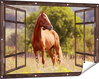 Gards Tuinposter Doorkijk Bruin Paard in de Wei - 120x80 cm - Tuindoek - Tuindecoratie - Wanddecoratie buiten - Tuinschilderij