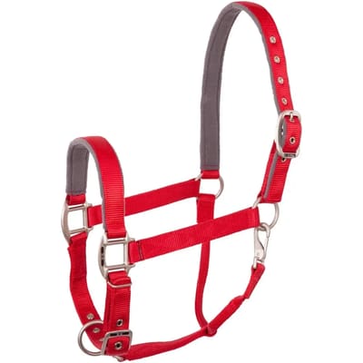 Halster voor paarden BR Equitation Event