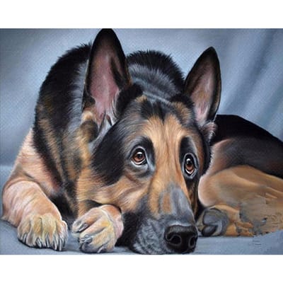 Diamant broderie  chien  5D diamant peinture point de croix diamant mosaïque aiguille artisanat 20X30CM black