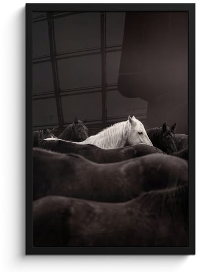 Poster in lijst - Fotolijst 40x60 cm - Posters - Paarden - Zwart - Wit - Kudde - Posterlijst zwart - Decoratie - Wanddecoratie woonkamer - Muurdecoratie slaapkamer