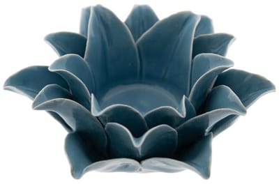 Blauwe Lelie klein