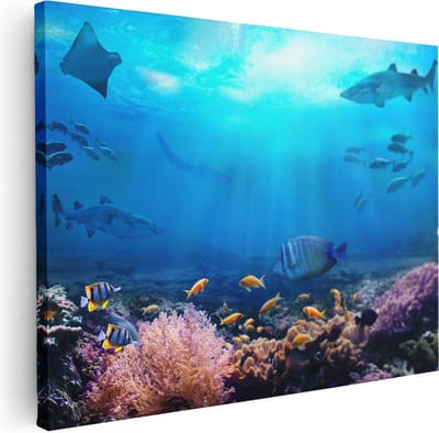 Artaza Canvas Schilderij Koraalrif - 40x30 cm - Klein - Wanddecoratie Onderwaterwereld - Muurdecoratie Haai - Schilderijen Op Canvas Zee