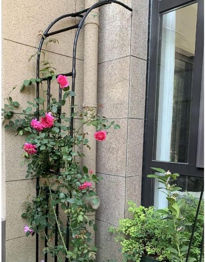 Rozenboog Metaal - Klimhulp Tuinboog - Planten Ondersteunen - Weerbestendige Coating - W60xH240cm - Zwart