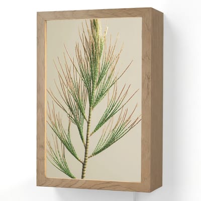 Wandlamp 20x30 cm - Oplaadbaar - Dennentak - Naaldvormige bladeren - Lichtgroen - Wandlampen binnen woonkamer - Slaapkamer lamp met kabel - Decoratieve nachtlamp - Vloerlamp snoer