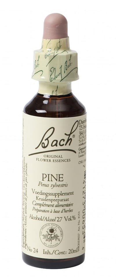 Pine/Den Bach