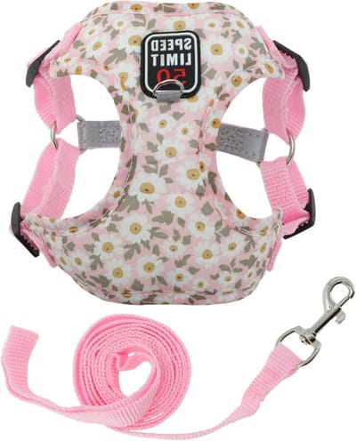 Verstelbare Reflecterende Halsband en Leash Set voor Puppy’s, Geschikt voor Wandelen en Kleine Honden en Katten, XL, Roze