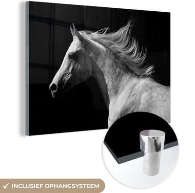 MuchoWow® Glasschilderij 120x80 cm - Schilderij acrylglas - Paarden - Dieren - Portret - Foto op glas - Schilderijen
