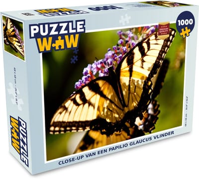 Puzzel Close-up van een papilio glaucus vlinder - Legpuzzel - Puzzel 1000 stukjes volwassenen