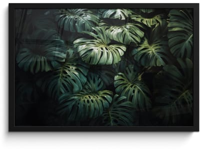 Poster in lijst - Fotolijst 60x40 cm - Posters - Plant - Monstera - Lichtinval - Posterlijst zwart - Decoratie - Wanddecoratie woonkamer - Muurdecoratie slaapkamer