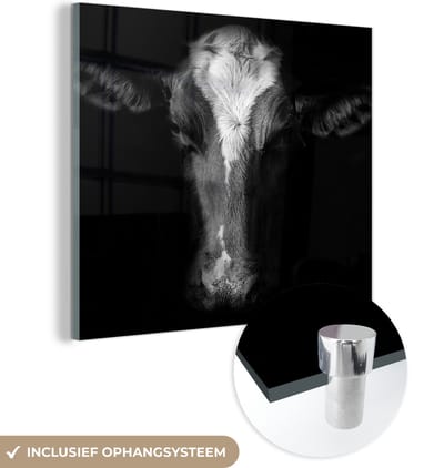 MuchoWow® Glasschilderij 50x50 cm - Schilderij acrylglas - Koe - Dieren - Zwart - Foto op glas - Schilderijen