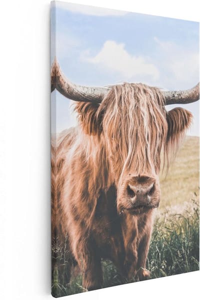 Artaza Canvas Schilderij Schotse Hooglander - 80x120 cm - Groot - Wanddecoratie Woonkamer - Muurdecoratie Dieren - Canvas Schilderij Hooglander