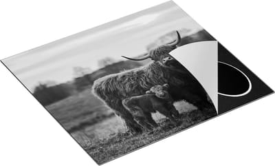 Chefcare Inductie Beschermer Schotse Hooglander Koe met haar Kalf - Zwart Wit - 60x50 cm - Afdekplaat Inductie - Kookplaat Beschermer - Inductie Mat