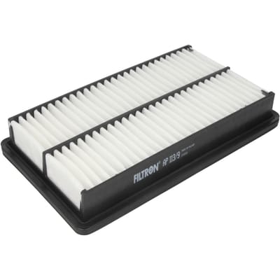 Luchtfilter FILTRON AP113/9