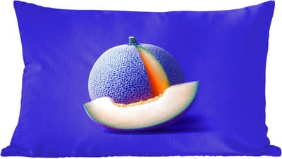Sierkussens - Kussentjes Woonkamer - 60x40 cm - Meloen - Blauw - Oranje - Kunstzinnig