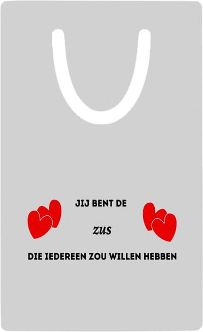 Hacebo® - jij bent de zus die iedereen zou willen hebben metalen boekenlegger - Zus - geweldige zus - liefste zus - verjaardag - cadeau - kado - bedankje - geschenk Bladwijzer boekenleggers - 7.6 cm x 5cm