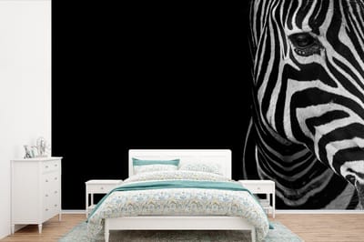 Behang - Fotobehang Dieren - Zebra - Zwart - Wit - Breedte 525 cm x hoogte 350 cm