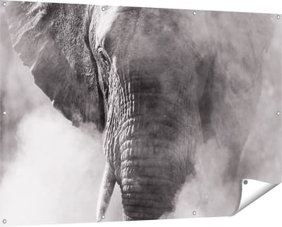 Gards Tuinposter Olifantenkop - Olifant - Zwart Wit - 150x100 cm - Tuindoek - Tuindecoratie - Wanddecoratie buiten - Tuinschilderij