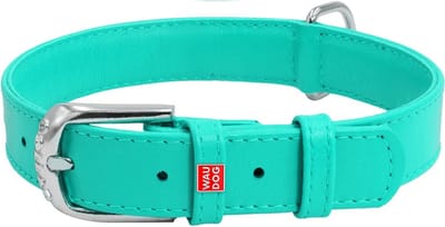 WAUDOG Glamour Halsband / Hondenhalsband - Echt Leder - Mint - M - Breedte: 20 mm - Nekomtrek: 30 - 39 cm (GELIEVE ALVORENS BESTELLEN OPMETEN)