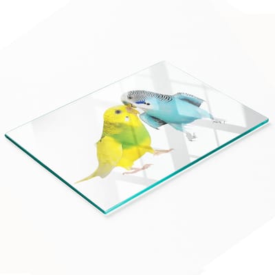 Decoratieve serveerplank van glas met parkietenmotief, 80x52 cm