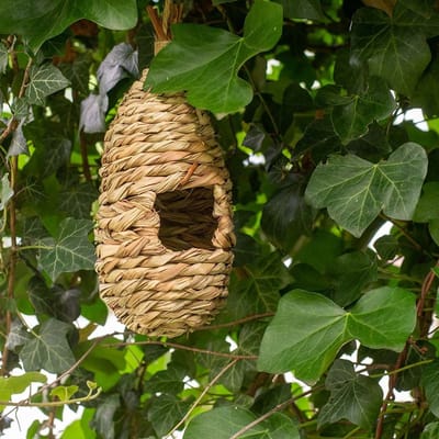 CJ Wildlife - Loungenest halfopen - Rotan - Vogelhuisje