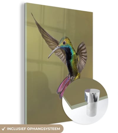 ® Glasschilderij 120x160 cm - Schilderij acrylglas - Vogels - Kolibrie - Roze - Blauw - Foto op glas - Muurdecoratie woonkamer - Wanddecoratie slaapkamer - Schilderijen