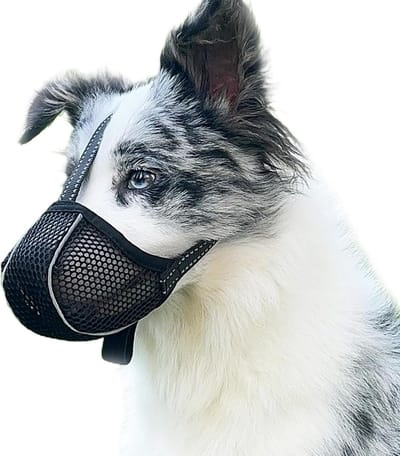 Large Dog Muzzle Prevent Chewing/Eating/Biting, Breathable, Reflective, Adjustable, for Medium Dogs (Black, L)