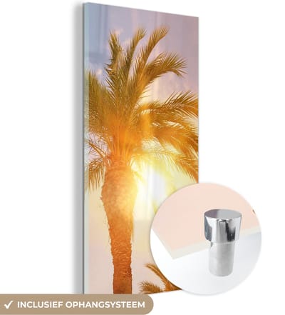 MuchoWow® Glasschilderij 20x40 cm - Schilderij acrylglas - Palmboom - Zomer - Zon - Tropical - Foto op glas - Schilderijen