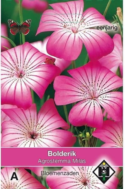 Van Hemert & Co - Bolderik Milas (Agrostemma githago)