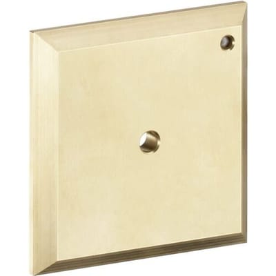Hansgrohe iControl flush plate