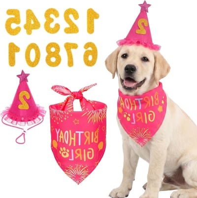Verjaardagsset voor honden met hoed, bandana en bling nummers - Roze hondenverjaardag met hondencake en feestdecoratie voor puppy's en hondenfeestjes