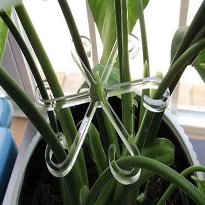 Actie4you® - Planten houder - Bladvormige Plantenstandaard met Plantengroei – Steel houder – Planten versteviger – Planten organizer – Plant Support - Voor Kleine jonge planten met zachte stelen! - 12CMx11CM