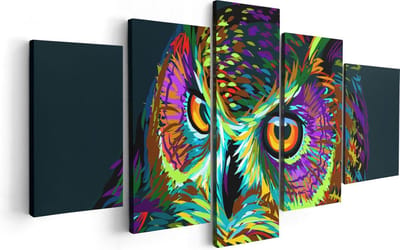 Artaza Canvas Schilderij Vijfluik Kleurrijke Uil - Abstract - 100x50 - Foto Op Canvas - Canvas Print