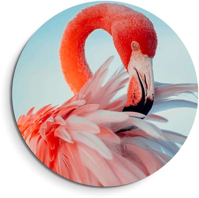 KitchenArt - Feathered Grace - Muurcirkel Binnen - ø 40 cm - Wandcirkel - Mét Ophangsysteem - Wanddecoratie - Muurdecoratie