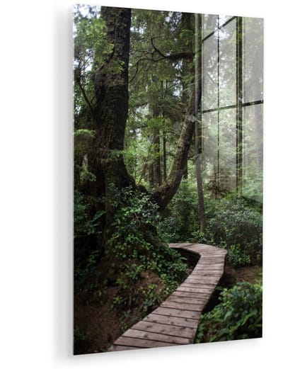 ® Glasschilderij 120x180 cm - Schilderij acrylglas - Houten brug in de bemoste bossen van het regenwoud in Costa Rica - Foto op glas - Muurdecoratie woonkamer - Wanddecoratie slaapkamer - Schilderijen