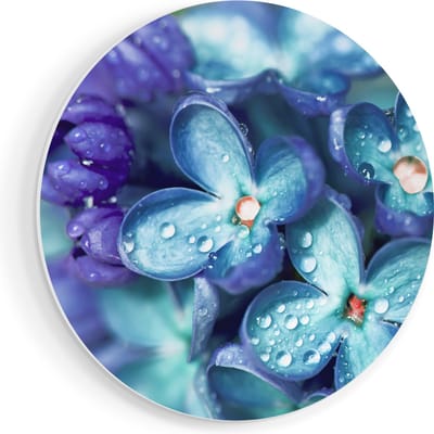 Artaza Forex Muurcirkel Blauwe Lila Bloemen - Seringen - 80x80 cm - Groot - Wandcirkel - Rond Schilderij - Wanddecoratie Cirkel