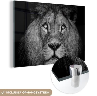 MuchoWow® Glasschilderij 60x40 cm - Schilderij acrylglas - Leeuw - Portret - Zwart - Wit - Foto op glas - Schilderijen