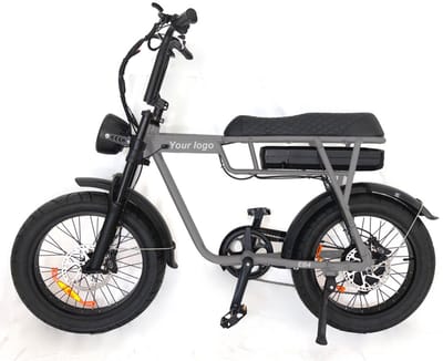 EB2 Fatbike - 20 inch - 250W motor - 80 km actieradius - grijs