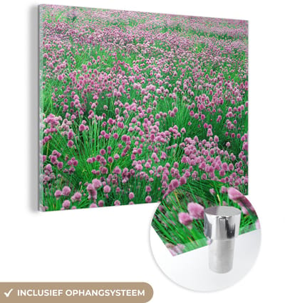 ® Glasschilderij 160x120 cm - Schilderij acrylglas - Een prachtig veld met de paarse bieslook planten - Foto op glas - Muurdecoratie woonkamer - Wanddecoratie slaapkamer - Schilderijen