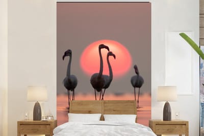 Behang - Fotobehang Vogel - Flamingo - Zonsondergang - Roze - Breedte 195 cm x hoogte 300 cm