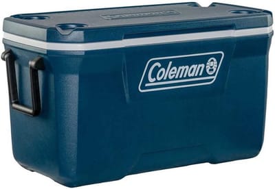 Grote Koelbox met PU-schuimisolatie - Ideaal voor Kamperen, Picknicks en Festivals