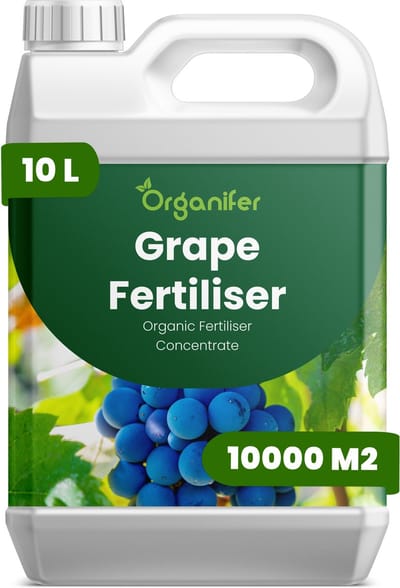 Vloeibare Meststof Voor Druiven 10 L Voor 10000 M2 - Npk 2-1-8 - Krachtige Rankgroei - Droogtetolerantie - Schilsterkte - Bevordert Consistente - Gezonde Groei Gedurende Lange Groeiseizoenen - Geschikt Voor Wijndruiven En Tafeldruiven - Organifer