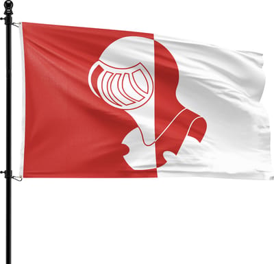 VlagDirect - Helmond vlag - Gemeente Helmond vlag - 90 x 150 cm.