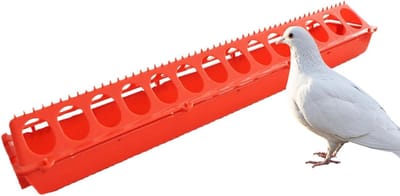 Kleine Kippenvoederautomaat - Drinkbak Pluimvee - Voeren Vogels - Minder Voermorsen - 50x10x10 cm - Rood