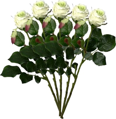 Mica Decorations Kunstbloem roos Elena - 5x - creme - 48 cm - kunststof steel - bloemen